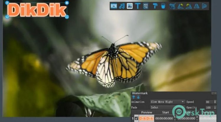 DIKDIK Video Kit 5.3.0.0 x64 Multilingual (Very Rare)