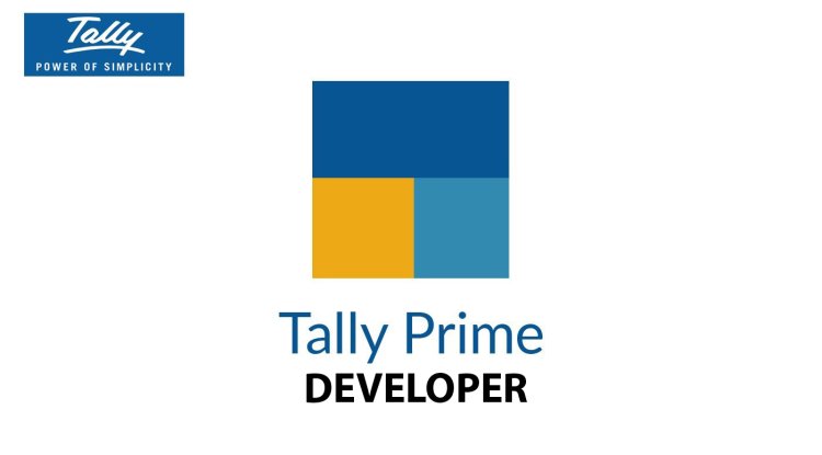 TALLY PRIME DEVELOPER 4 + EASY SILENT ACTIVATOR