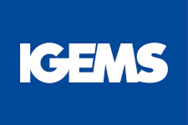 IGEMS 2024.3 X64 FULL PREMIUM