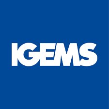 IGEMS 2024.3 X64 FULL PREMIUM